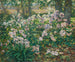 Blumen des Windes - Ruger Donoho — Ansicht des Kunstwerks