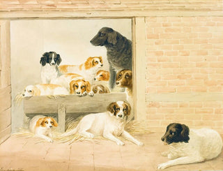 Eine Familie von Hunden - S Evans — Ansicht des Kunstwerks