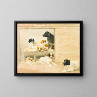 Eine Familie von Hunden - S Evans — gerahmtes Bild an der Wand