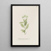 Tee aus New Jersey - S Fred Prince — gerahmtes Bild an der Wand