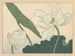 Lotus - Sakai Hōitsu — Ansicht des Kunstwerks