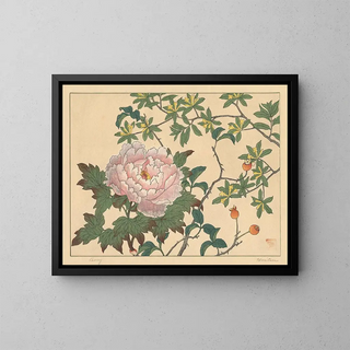 Sakai Hoitsu - Peony.webp