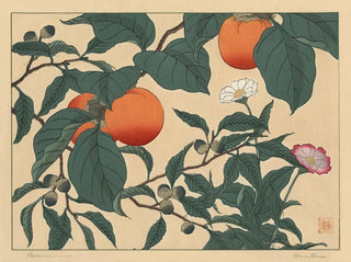 Kaki - Sakai Hōitsu — Ansicht des Kunstwerks