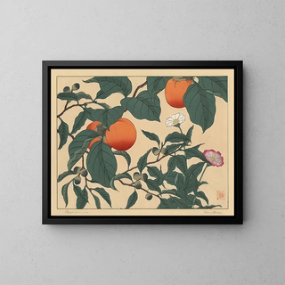 Kaki - Sakai Hōitsu — gerahmtes Bild an der Wand
