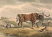 Ein Stier und ein Hase - Samuel Howitt — Ansicht des Kunstwerks