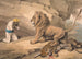 Ein Löwe, der auf einem verletzten Leoparden steht - Samuel Howitt — Ansicht des Kunstwerks