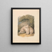 Der Luchs Kanadas aus der Sicht des Lebens - Samuel Howitt — gerahmtes Bild an der Wand