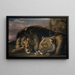 Löwe und Löwin im Schlaf - Samuel Raven — gerahmtes Bild an der Wand