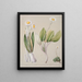 Celmisia - Sarah Featon — gerahmtes Bild an der Wand