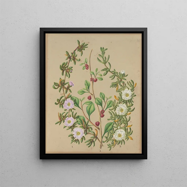 Usine de glace Horoka NZ Kokihi - Sarah Featon — gerahmtes Bild an der Wand