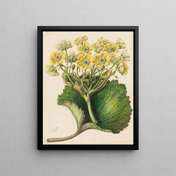 Exercice - Sarah Featon — gerahmtes Bild an der Wand