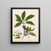 Schlafen - Sarah Featon — gerahmtes Bild an der Wand
