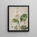 Ourisia - Sarah Featon — gerahmtes Bild an der Wand