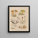 Illustrationen der Pilze unserer Felder und Wälder pl01 - Sarah Price — gerahmtes Bild an der Wand