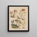 Illustrationen der Pilze unserer Felder und Wälder pl03 - Sarah Price — gerahmtes Bild an der Wand