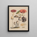 Illustrationen der Pilze unserer Felder und Wälder pl06 - Sarah Price — gerahmtes Bild an der Wand