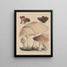 Illustrationen der Pilze unserer Felder und Wälder Pl11 - Sarah Price — gerahmtes Bild an der Wand