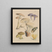 Illustrationen der Pilze unserer Felder und Wälder Pl14 - Sarah Price — gerahmtes Bild an der Wand