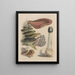 Illustrationen der Pilze unserer Felder und Wälder Pl20 - Sarah Price — gerahmtes Bild an der Wand