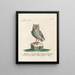Ornithologie methodisch verdaut Pl085 - Saverio Manetti — gerahmtes Bild an der Wand