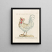 L'ornithologie a méthodiquement digéré Pl197 - Saverio Manetti — gerahmtes Bild an der Wand
