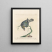Ornithologie methodisch verdaut Pl252 - Saverio Manetti — gerahmtes Bild an der Wand