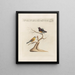 Ornithologie methodisch verdaut Pl350 - Saverio Manetti — gerahmtes Bild an der Wand