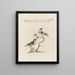 L'ornithologie méthodiquement digérée Pl363 - Saverio Manetti — gerahmtes Bild an der Wand