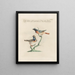 Ornithologie methodisch verarbeiteter Gemälde Pl379 - Saverio Manetti — gerahmtes Bild an der Wand