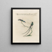 Ornithologie methodisch verdaut Pl388 - Saverio Manetti — gerahmtes Bild an der Wand