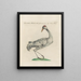 L'ornithologie a méthodiquement digéré Pl397 - Saverio Manetti — gerahmtes Bild an der Wand