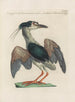 L'ornithologie wurde methodisch verarbeitet als Kunstdruck Pl404 - Saverio Manetti — Ansicht des Kunstwerks