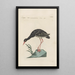 Ornithologia methodice digesta Pl415 - Saverio Manetti — gerahmtes Bild an der Wand