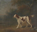 Ein Spaniel am Waldrand - Sawrey Gilpin — Ansicht des Kunstwerks