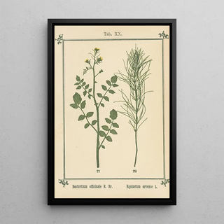 Sebastian Kneipp - Plantatlas to My watercure Pl39.webp