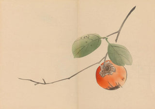 Shibata Zeshin - Zeshin iboku tairyukyo gafu Pl10.webp