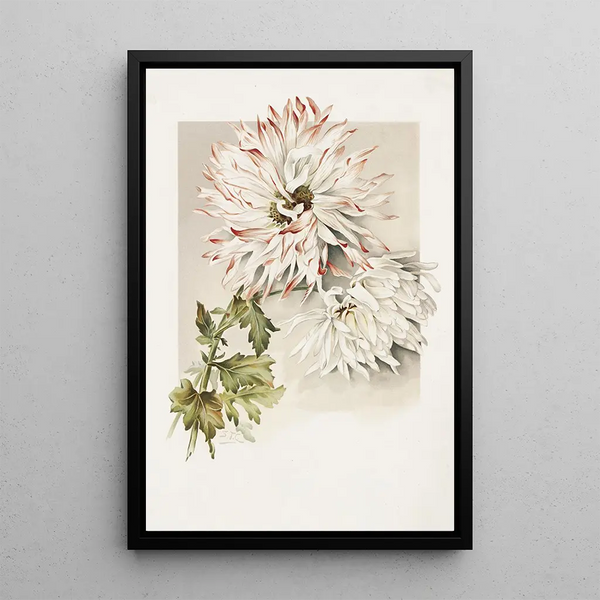 Chrysanthèmes - Sidney Thomas Callowhill — gerahmtes Bild an der Wand