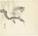 Affe auf einem Baumast - Ohara Koson — Ansicht des Kunstwerks
