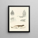 Cordylus giganteus jung - Sir Andrew Smith — gerahmtes Bild an der Wand