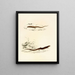 Gerrhosaurus sepiformis Gerrhosaurus subtessellatus - Sir Andrew Smith — gerahmtes Bild an der Wand