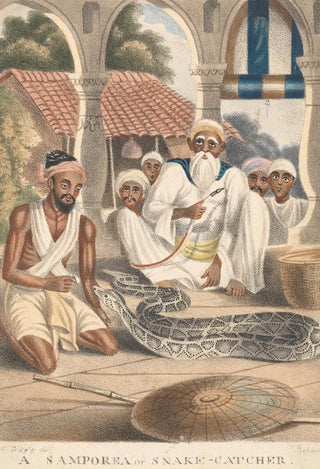 Sir Charles DOyly - A Samporea or Snake Catcher.webp