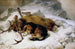 Chevy - Sir Edwin Henry Landseer — Ansicht des Kunstwerks
