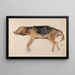 Studie eines liegenden Hundes - Sir Edwin Henry Landseer — gerahmtes Bild an der Wand