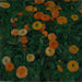 Sonnenblumen - Koloman Moser — Ansicht des Kunstwerks