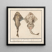 Squatina der viole der Familie der Rhinobatidae - Anselmus Botius de Boodt — gerahmtes Bild an der Wand