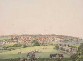 Sren L Lange - Snderborg p en Als.webp