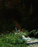 Source - Stanisław Witkiewicz — Ansicht des Kunstwerks