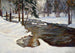 Ruisseau forestier en hiver - Stefan Filipkiewicz — Ansicht des Kunstwerks
