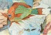Fisch-Paradiesvogel - Stephen Haweis — Ansicht des Kunstwerks