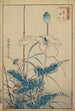 Vogel über Mohnblumen - Sugakudo — Ansicht des Kunstwerks